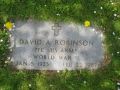 David A Robinson
